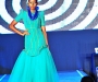 diaspora-dinner_101