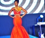 diaspora-dinner_102